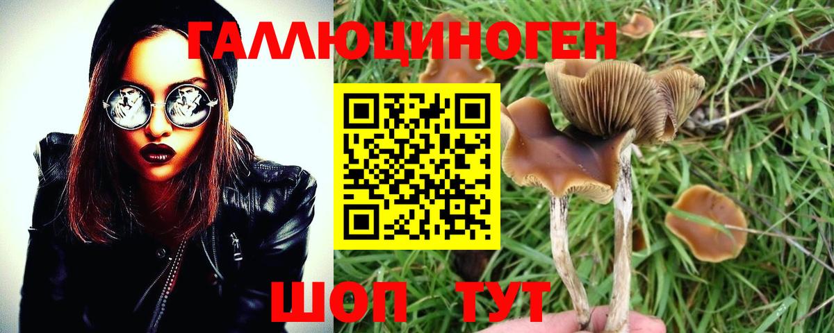 Лесозаводск  Галлюциногенные грибы Psilocybe  Вход с VPN 
