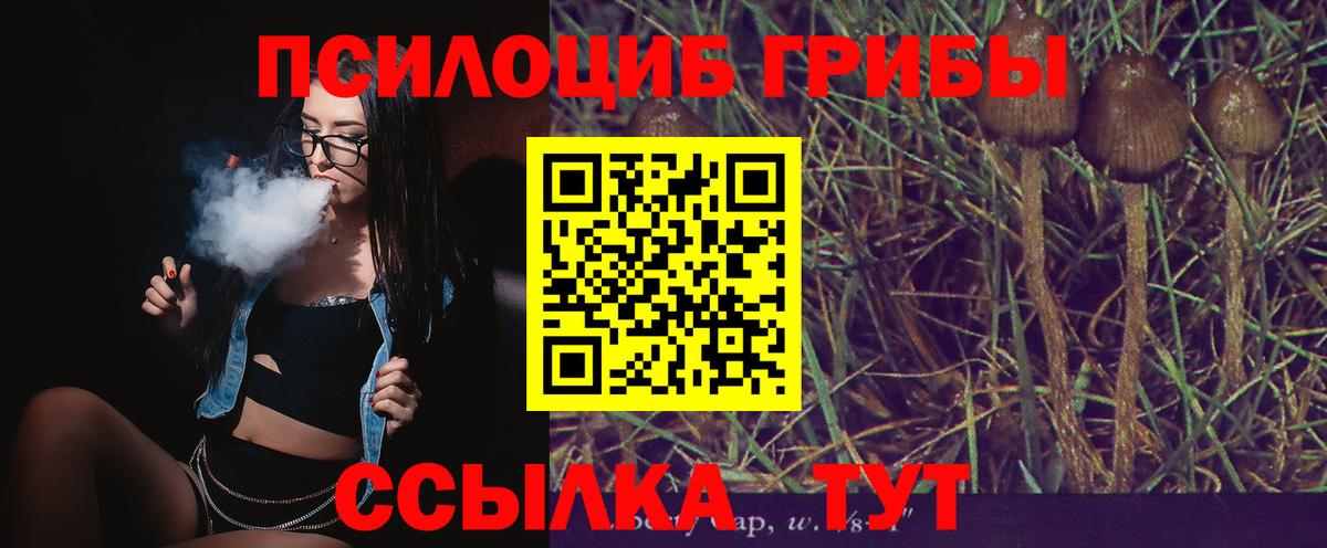 Псилоцибиновые грибы MAGIC MUSHROOMS Лесозаводск